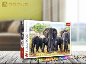 10442-africki-slonovi