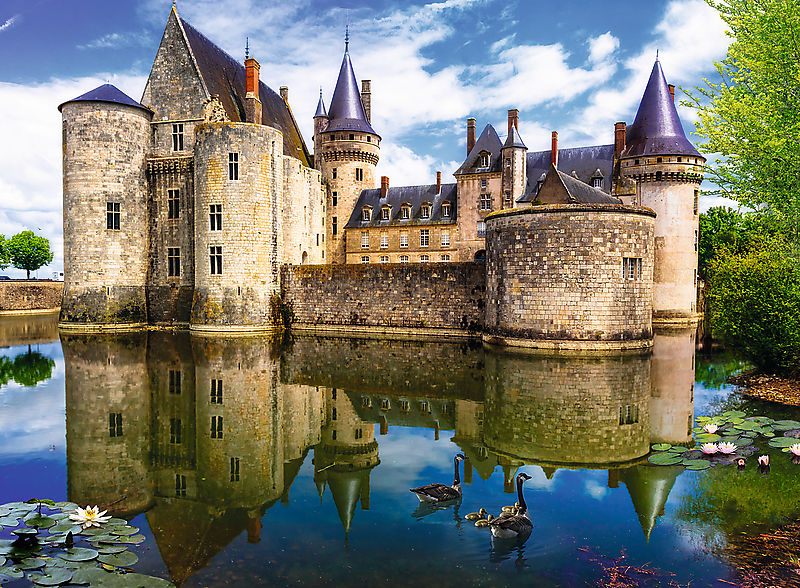 Dvorac Sully-sur-Loire