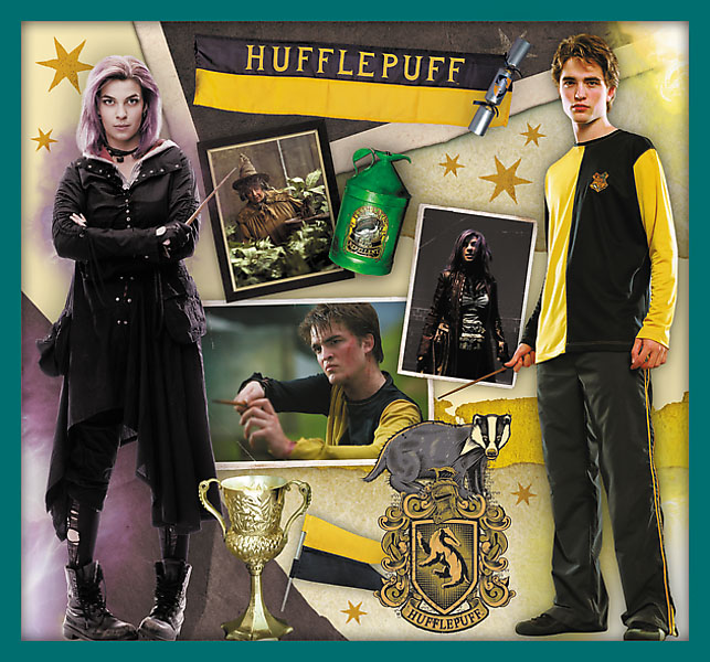 10u1 - Harry Potter | 329 komada